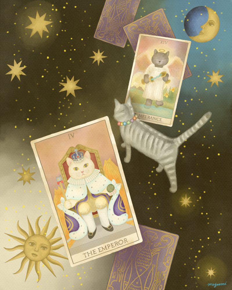 Fortune Telling Fortune Telling